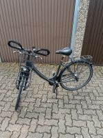 Fahrrad Damenfahrrad Rad Bike 28 28er Schwalbe Eimsbüttel - Hamburg Niendorf Vorschau