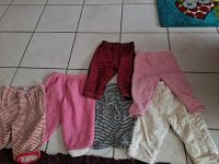 Pyjama Hosen gr.80 Nachtkleidung kinderkleidung Niedersachsen - Gieboldehausen Vorschau