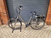 Batavus Garda E-Go 500 - E-Bike - Bosch - Rücktritt Lingen (Ems) - Münnigbüren Vorschau