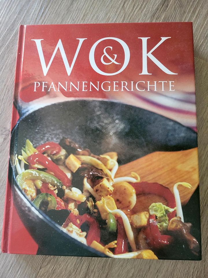 Wok Gerichte kochbuch asiatisch in Regenstauf