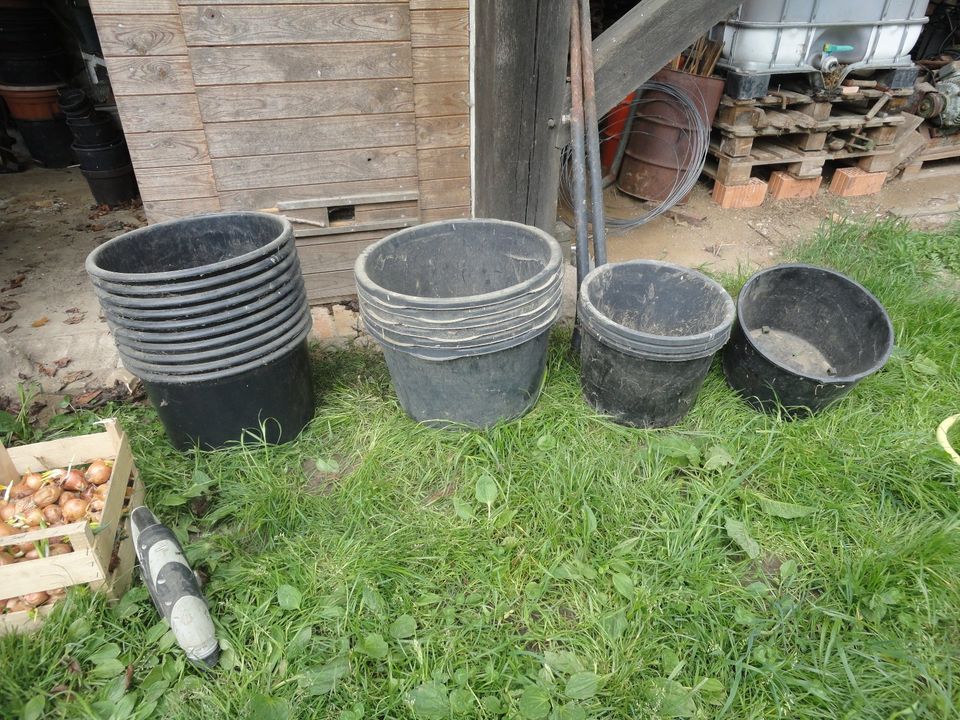 Pflanztopf Kübel Baumcontainer Kunststoff in Klütz