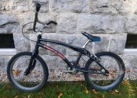 BMX-KINDER-FAHRRAD INKLUSIVE 4 PEGS ( FUSSRASTER) Sachsen - Markersbach Vorschau