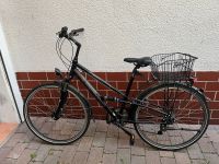 Fahrrad, Herren, 28 Zoll, Bergamont Baden-Württemberg - Mannheim Vorschau