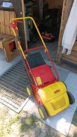 Vertikutierer Gartenwolf  UV 30 EV Hessen - Groß-Rohrheim Vorschau