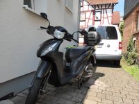 Roller Honda Vision 110 zu verkaufen Hessen - Staufenberg Vorschau