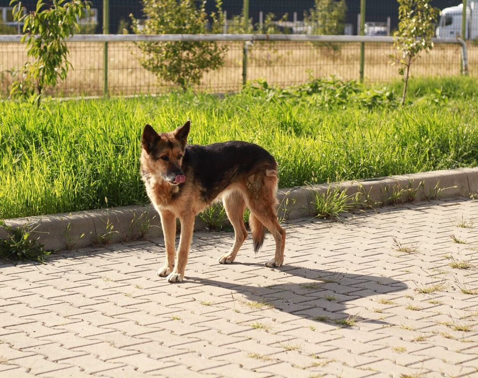 Lenchen sucht ihr Glück in Wallertheim