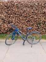 Fahrrad 28 zoll Hessen - Wiesbaden Vorschau