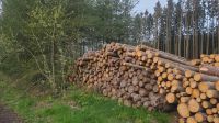 Brennholz ab Wald Thüringen - Hirschberg Vorschau