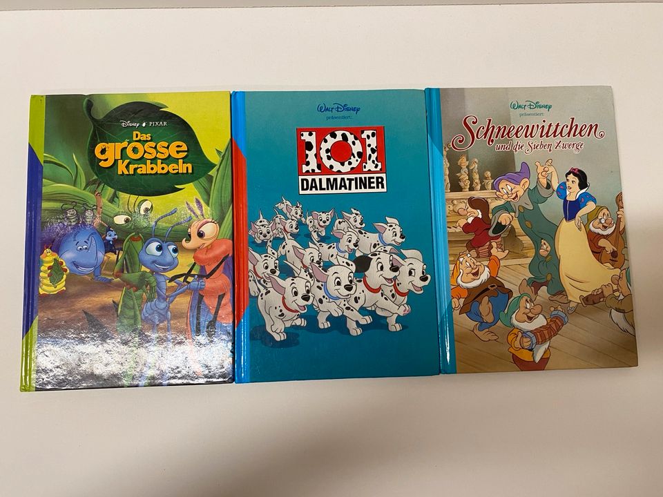 14 Disney Bücher für Kinder in Westhofen