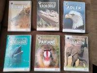 Tierdoku s , 6 DVD s Nordrhein-Westfalen - Paderborn Vorschau