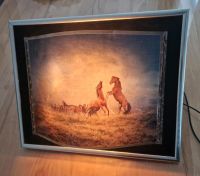 Beleuchtetes Bild mit Pferdemotiv Nordrhein-Westfalen - Gelsenkirchen Vorschau
