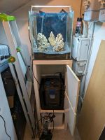 Aquarium 60 Liter JBL CO2 chihiros Led kallax Oase Aussenfilter Nordrhein-Westfalen - Ruppichteroth Vorschau
