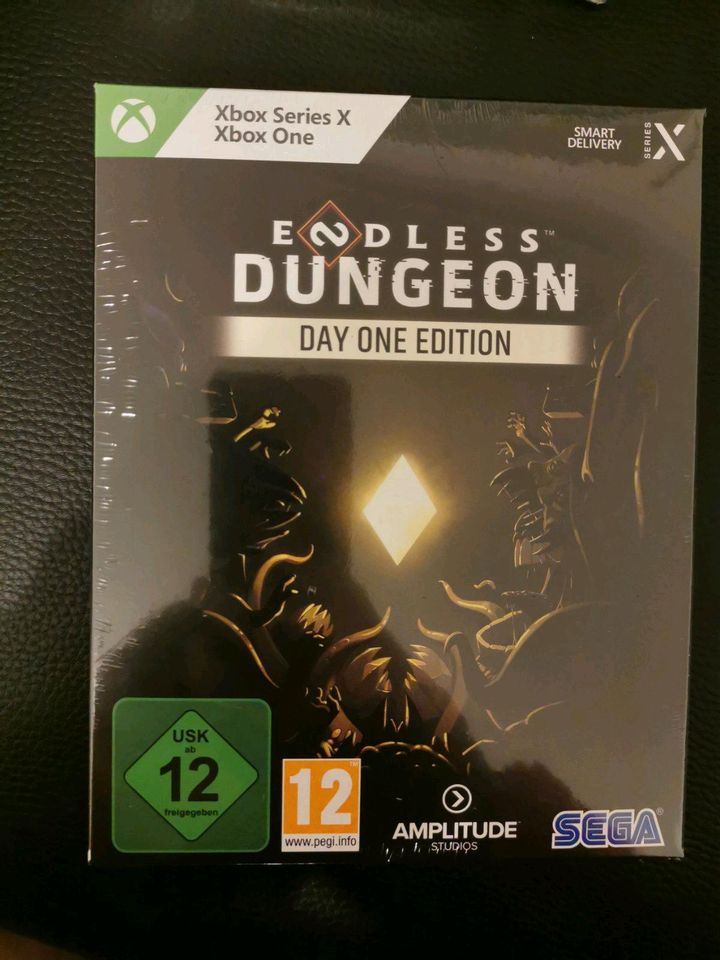 Endless Dungeon Day One Edition (Xbox One & Xbox Series X) in Sachsenheim