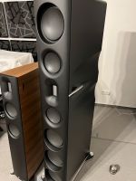 Børresen Acoustics Z5 CRYO Edition Lautsprecher Borresen 50% OFF Bayern - Puchheim Vorschau