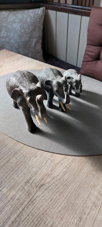 Drei deko Elefanten in Gelsenkirchen