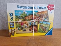 Ravensburger Puzzle Mein Reiterho, 3 x 49 Teile, ab 5 Rheinland-Pfalz - Neustadt an der Weinstraße Vorschau