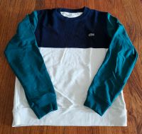 Lacoste Sweatshirt Kr. Dachau - Dachau Vorschau