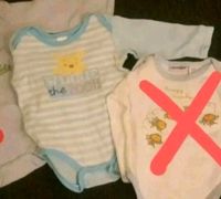 ⭐ Baby Body, Langarm Gr.80 ⭐ Brandenburg - Mühlenbeck Vorschau