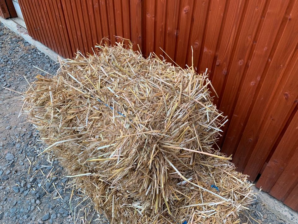 Weizenstroh in kleinen Ballen gepresst. in Flacht