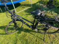 KTM Trapez Trekking&City - 28 Zoll Geeste - Osterbrock Vorschau