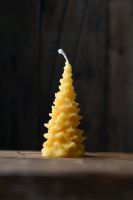 Bienenwachs Kerze Weihnachtsbaum Geschenk adventskranz Dresden - Blasewitz Vorschau