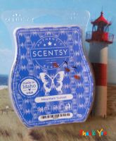 Duftwachs-Scentsy-Mountain Sunset-neu Hessen - Hünfelden Vorschau