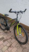 Kinderfahrrad 26 Zoll Pegasus Avanti Kid Lite Aluminium size 38 Hessen - Dietzenbach Vorschau