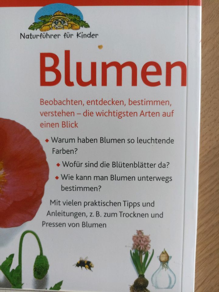 Sachbuch Blumen für Kinder in Stallwang