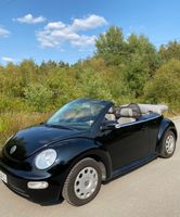 Volkswagen New Beetle 1.6 Cabriolet Standard Rheinland-Pfalz - Kaiserslautern Vorschau