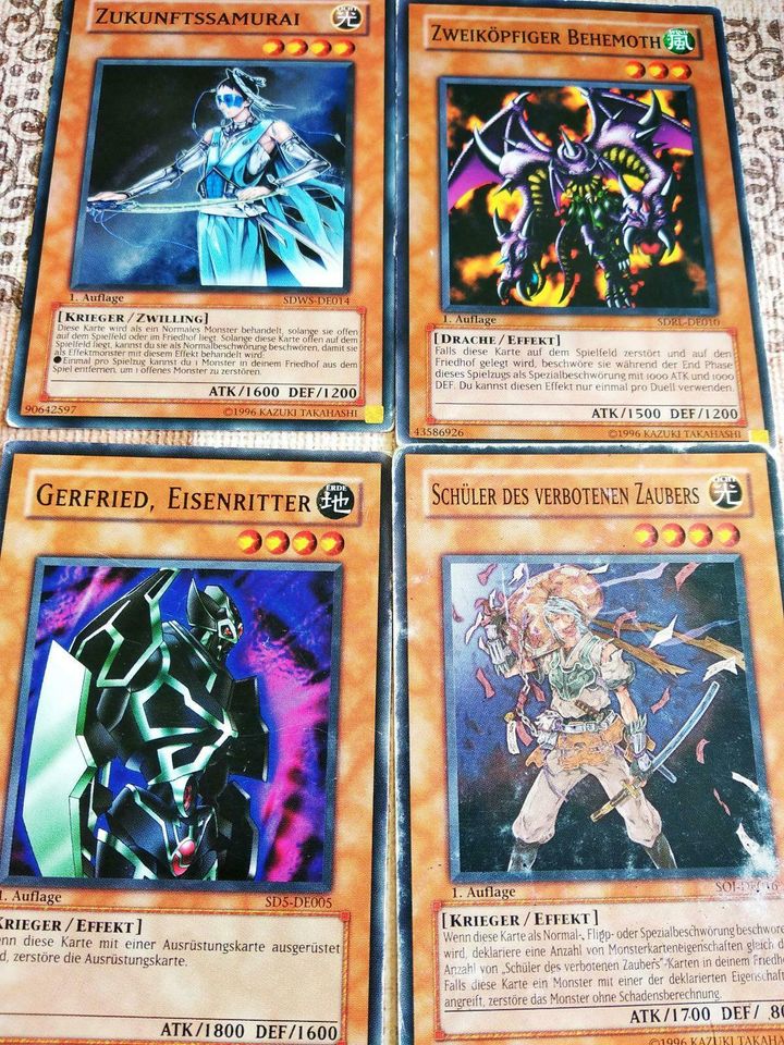 Yu-Gi-Oh Karten in Mulda