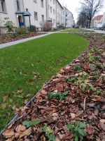 Rasenkante Borde Gartenband Wegbegrenzung Plaster Stahlband Brandenburg - Cottbus Vorschau