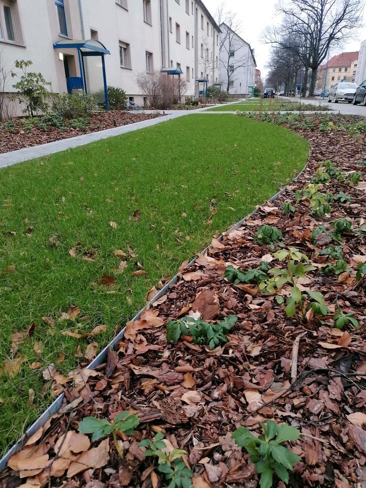 Rasenkante Borde Gartenband Wegbegrenzung Plaster Stahlband in Cottbus