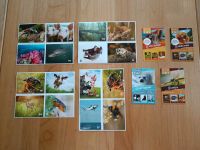Wilde Helden Sticker Karten Aufkleber sammeln Niedersachsen - Wedemark Vorschau