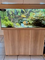 Aquarium Juwel ca. 170 Liter Nordrhein-Westfalen - Kerpen Vorschau