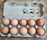 Frische Eier von glücklichen Hühnern Bayern - Berngau Vorschau