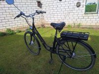 E-bike Pedelec Rheinland-Pfalz - Kleinniedesheim Vorschau