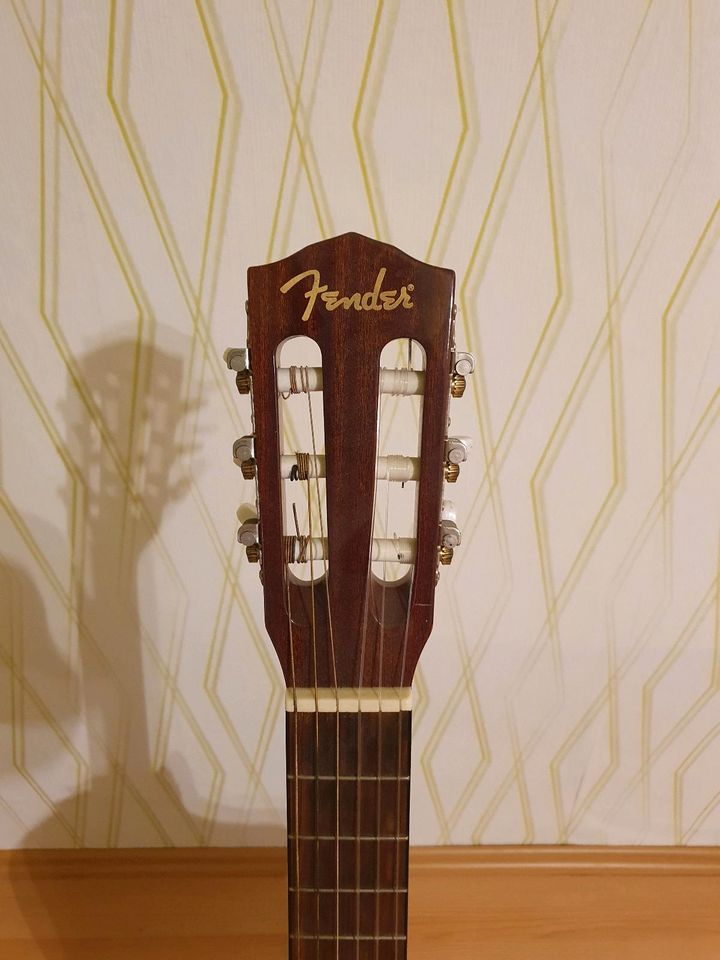 Fender Gitarre in Westoverledingen