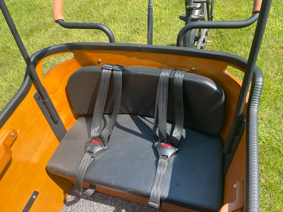 Lastenrad Cangoo Buckle E-Bike in Wietze