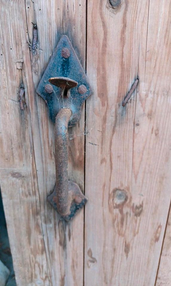 Vintage Kellertür Tür aus Holz sehr alt in Harsefeld