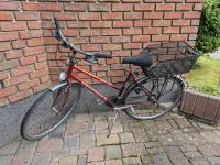 Damenfahrrad 26 Zoll Nordrhein-Westfalen - Ruppichteroth Vorschau