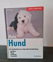 Mein Hund - das Standardwerk zur artgerchten Hundehaltung Leipzig - Sellerhausen-Stünz Vorschau