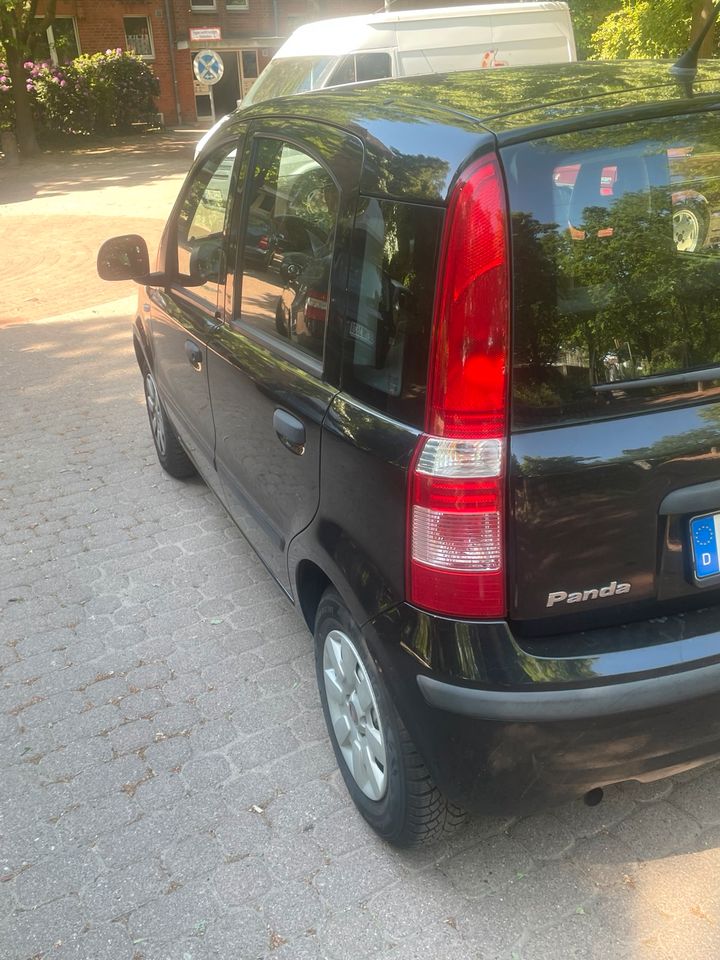 Fiat Panda 1.2 mit Klimaanlage und neue TuV in Kaltenkirchen