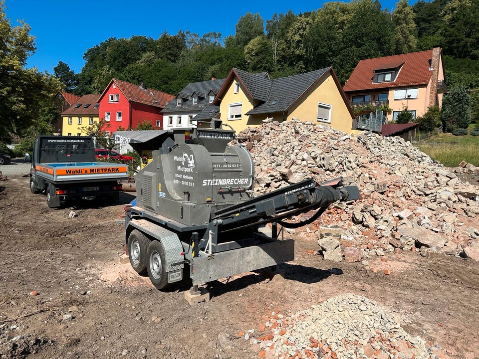 Baggerarbeiten Abbruch Pool Wurzel Stemmen in Hofheim Unterfr.