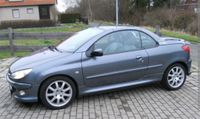 Peugeot 206 cc Cabrio, TÜV Neu! Herzogtum Lauenburg - Ratzeburg Vorschau