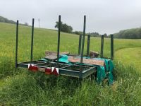 Stabile Eisenkarre für 7 Festmeter Brennholz Rheinland-Pfalz - Lind bei Altenahr Vorschau