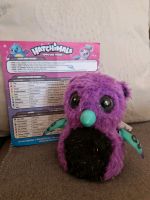 Hatchimals Top Zustand Berlin - Reinickendorf Vorschau