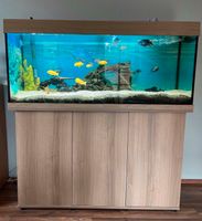 Juwel Rio Aquarium mit Eheim professionel 4+ 600 Aussenfilter Bayern - Wolnzach Vorschau