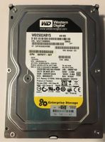 Festplatten Western Digital WD2502ABYS 250GB 3,5 Zoll SATA 7.200 Thüringen - Wünschendorf Vorschau