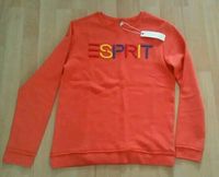 Neuer Esprit Pullover für Kinder gr:164  Mit Etiket  Farbe: orang Bochum - Bochum-Südwest Vorschau