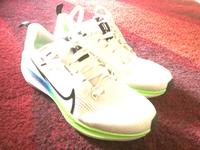 Nike Pegasus 40 Gr. 37,5 Baden-Württemberg - Mannheim Vorschau